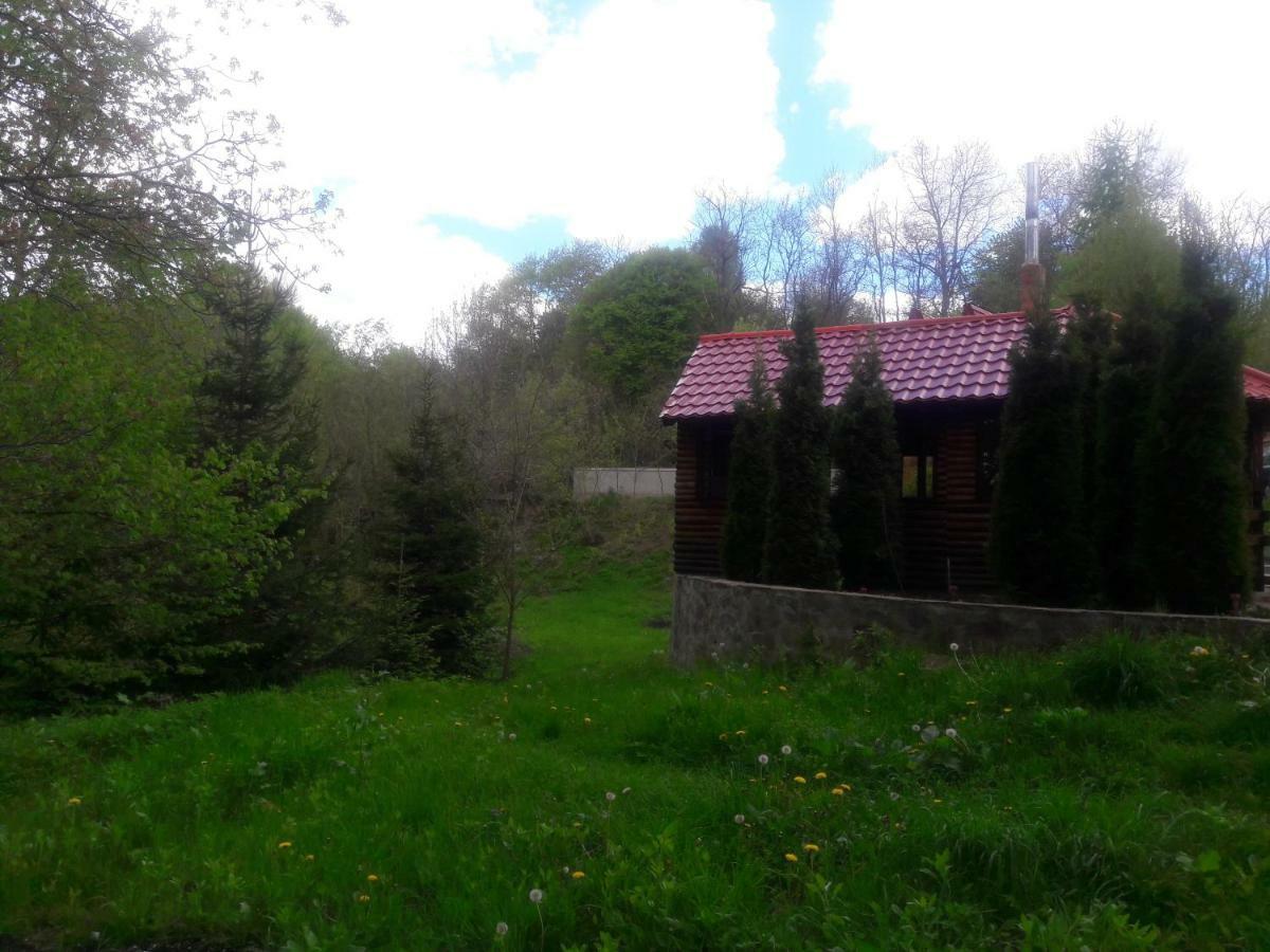 ホテル Casa Daos Nucşoara エクステリア 写真