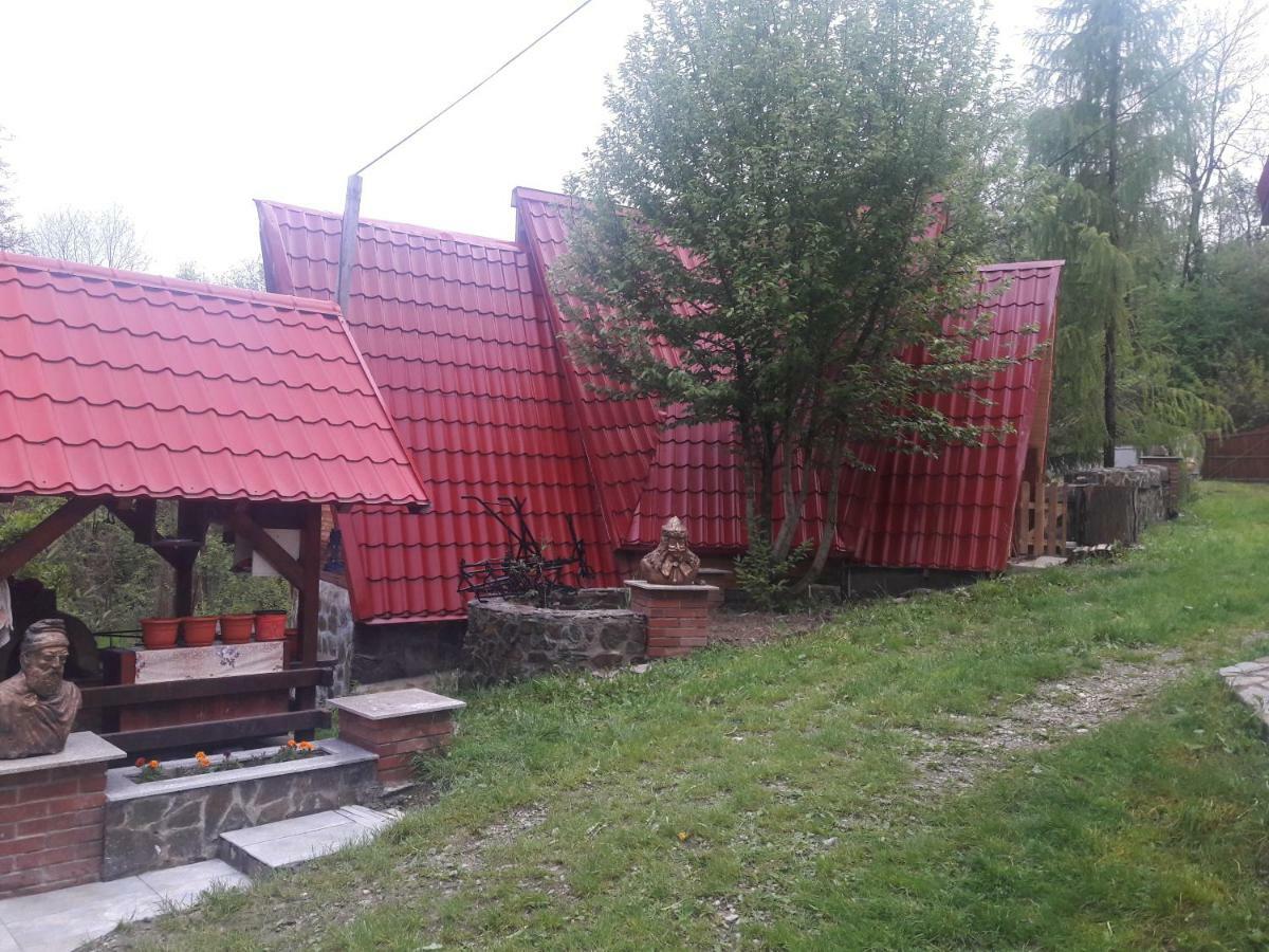 ホテル Casa Daos Nucşoara エクステリア 写真